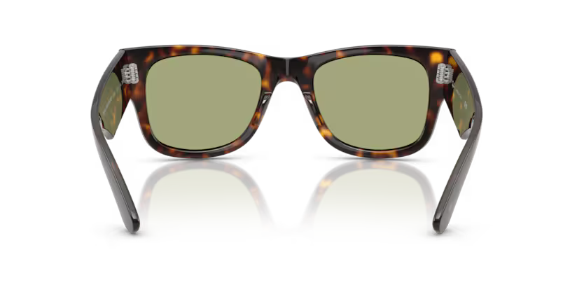 Ray-Ban 0RB0840S