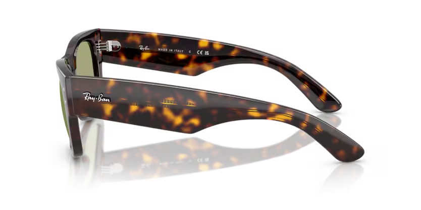 Ray-Ban 0RB0840S