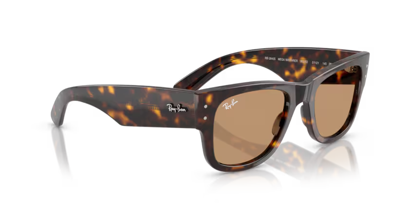 Ray-Ban 0RB0840S