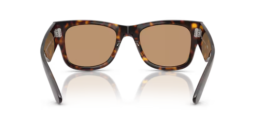 Ray-Ban 0RB0840S