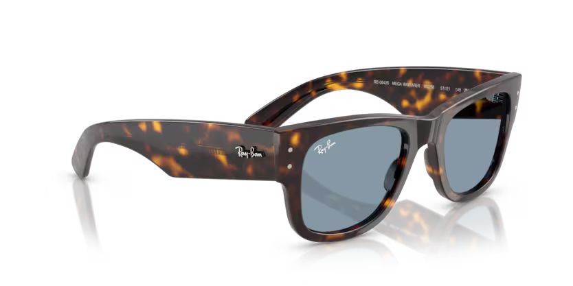 Ray-Ban 0RB0840S