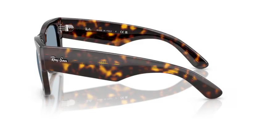Ray-Ban 0RB0840S