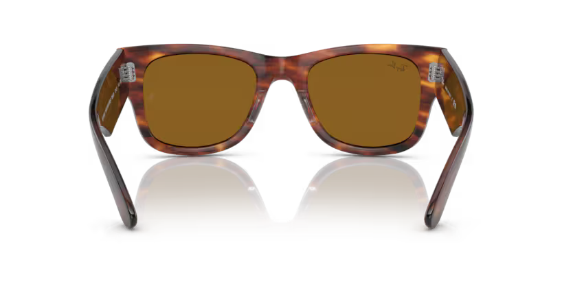 Ray-Ban 0RB0840S