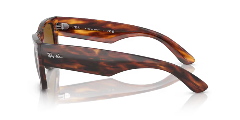 Ray-Ban 0RB0840S