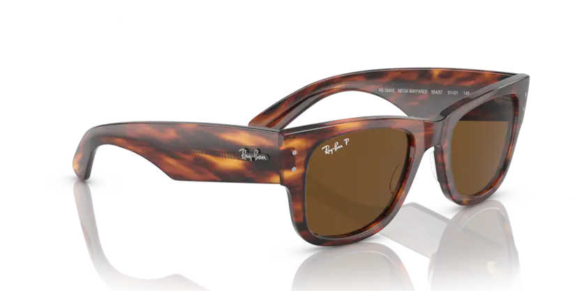 Ray-Ban 0RB0840S