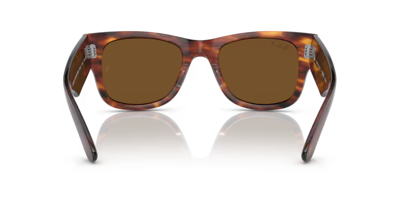 Ray-Ban 0RB0840S