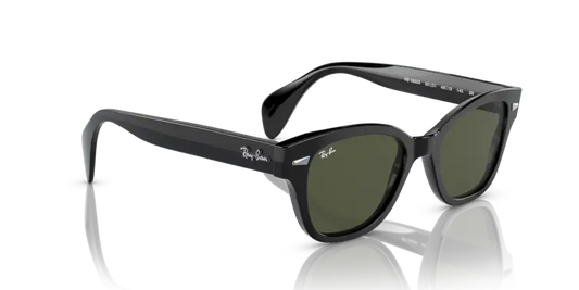 Ray-Ban 0RB0880S