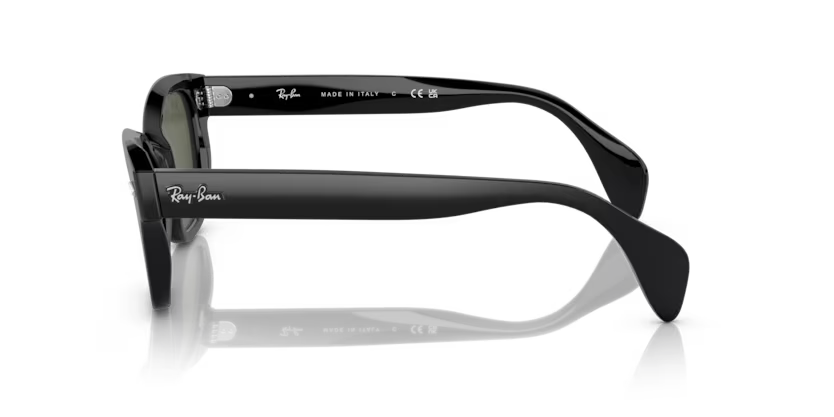 Ray-Ban 0RB0880S