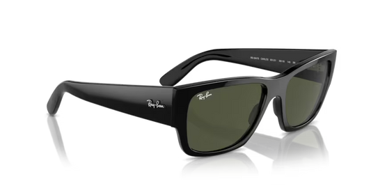 Ray-Ban 0RB0947S
