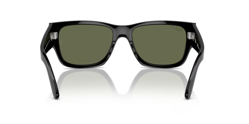 Ray-Ban 0RB0947S