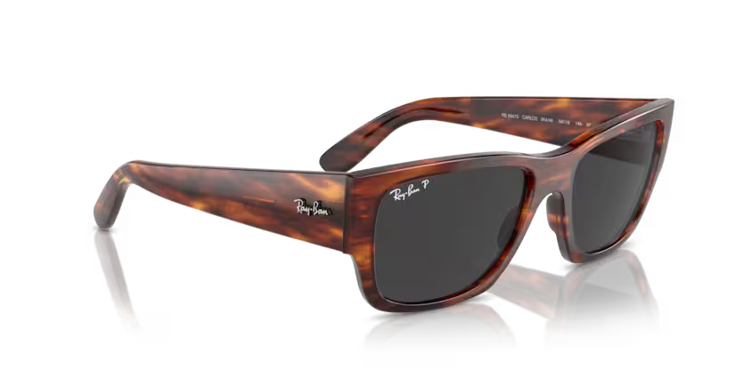 Ray-Ban 0RB0947S
