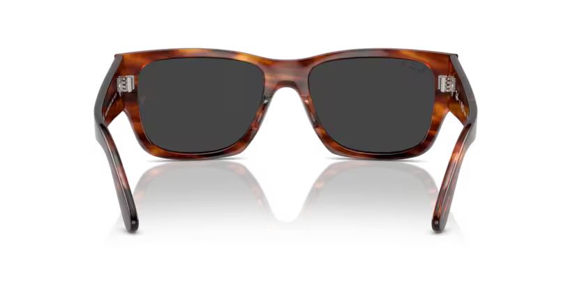 Ray-Ban 0RB0947S