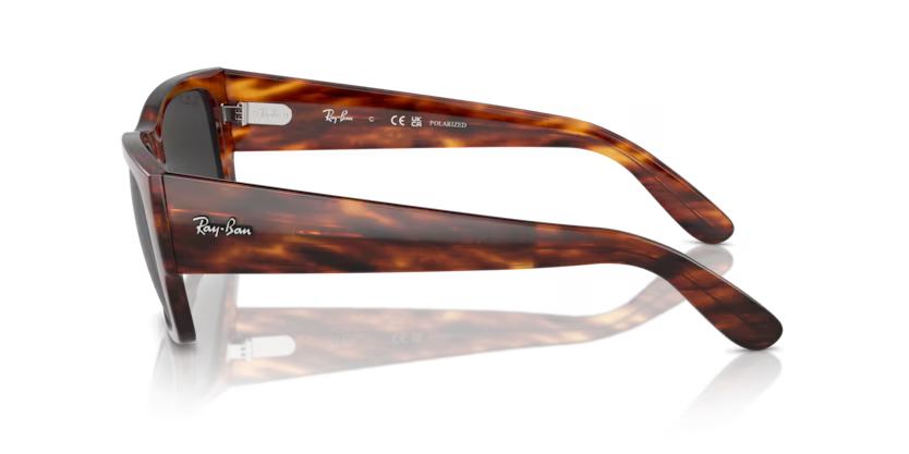 Ray-Ban 0RB0947S