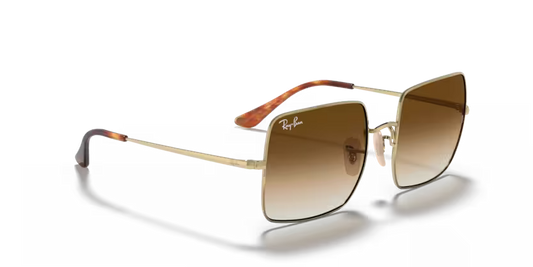 Ray-Ban 0RB1971