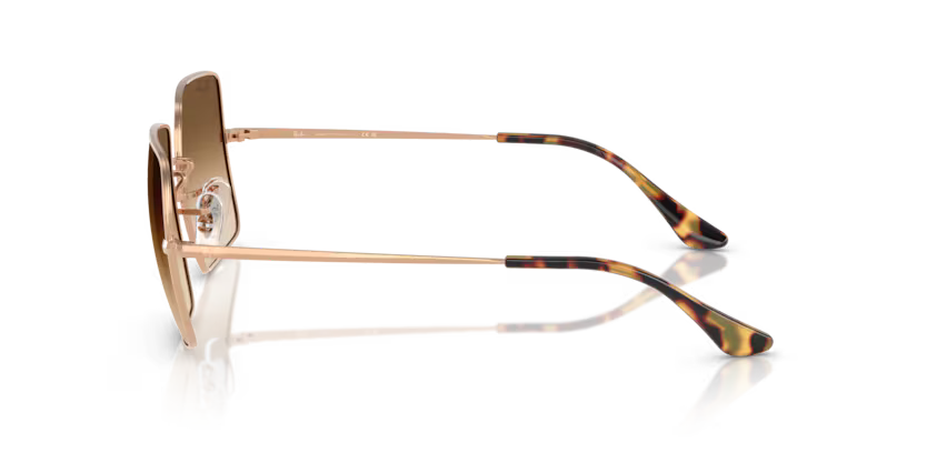 Ray-Ban 0RB1971