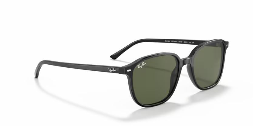 Ray-Ban 0RB2193
