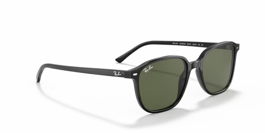 Ray-Ban 0RB2193