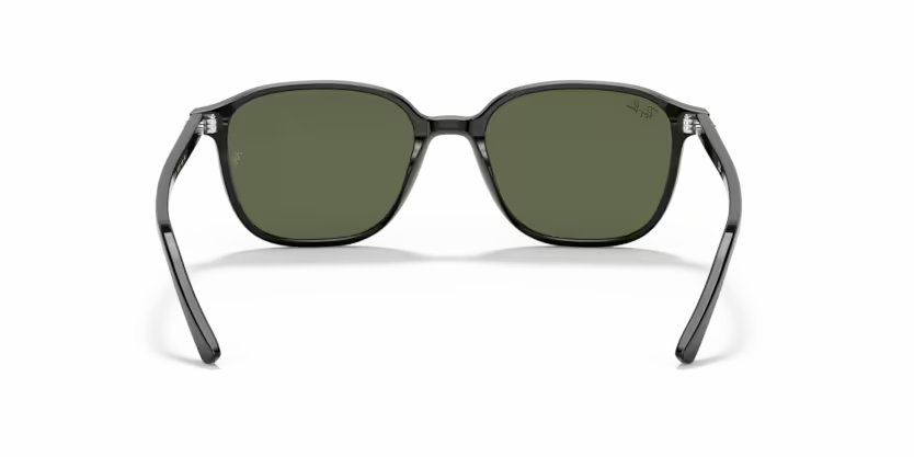 Ray-Ban 0RB2193