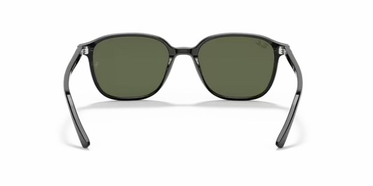 Ray-Ban 0RB2193
