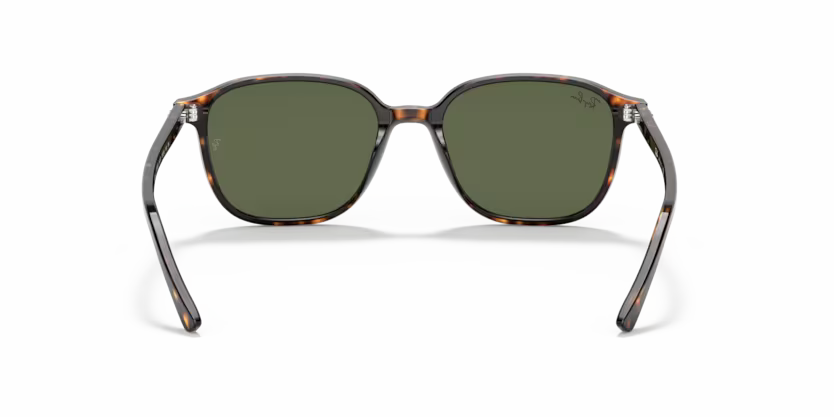 Ray-Ban 0RB2193