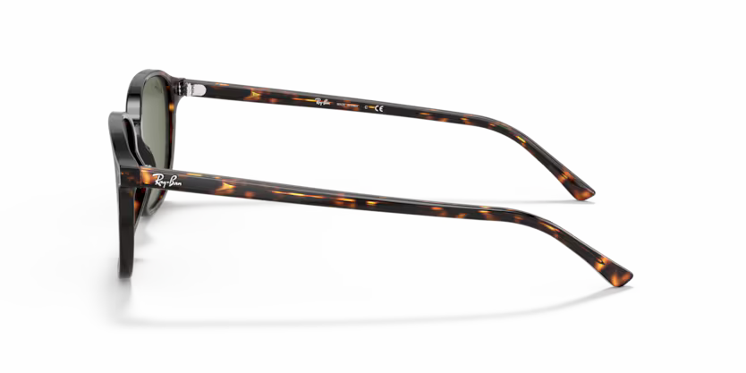 Ray-Ban 0RB2193