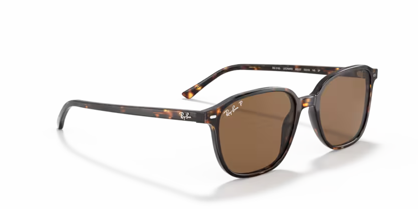 Ray-Ban 0RB2193