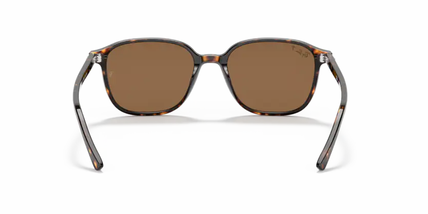 Ray-Ban 0RB2193