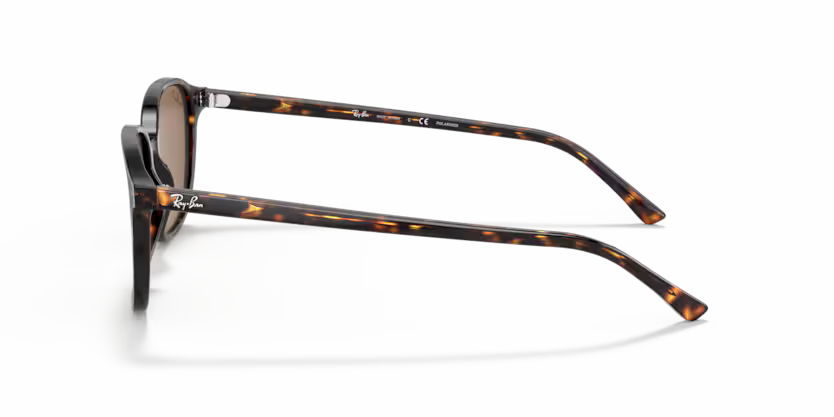 Ray-Ban 0RB2193