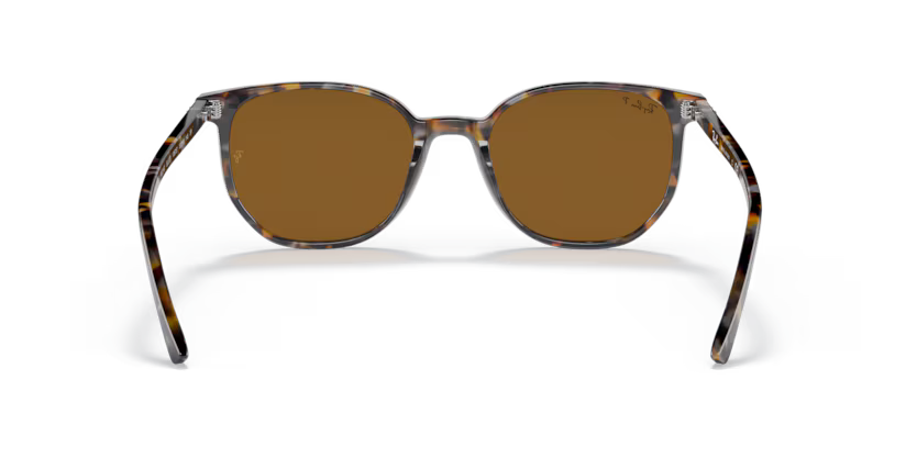 Ray-Ban 0RB2197