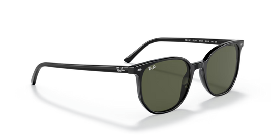 Ray-Ban 0RB2197