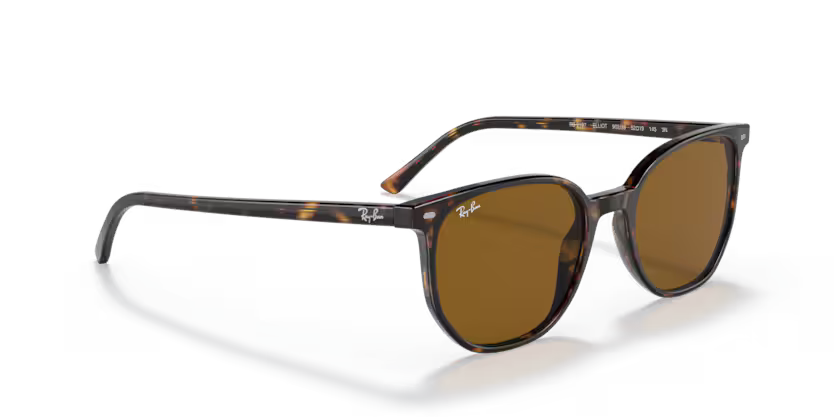 Ray-Ban 0RB2197