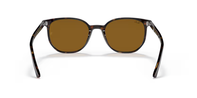 Ray-Ban 0RB2197