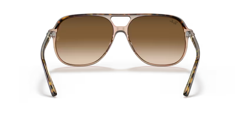 Ray-Ban 0RB2198