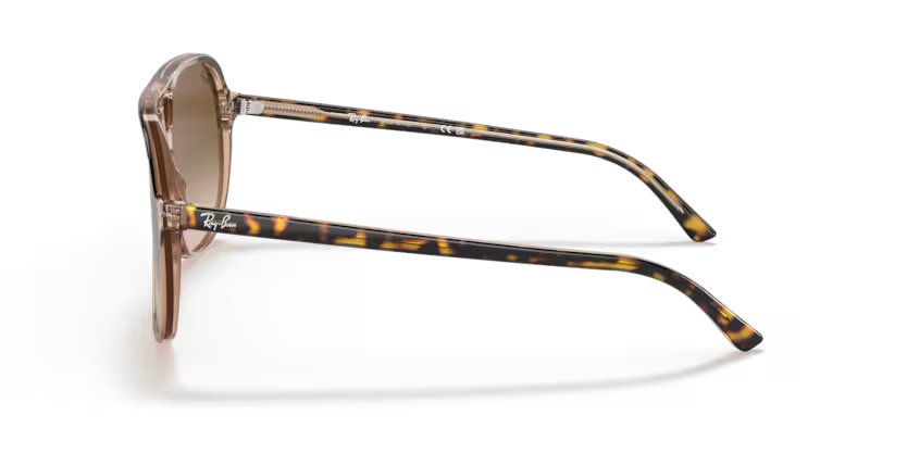 Ray-Ban 0RB2198
