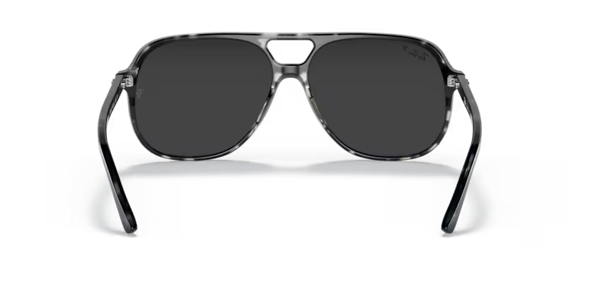 Ray-Ban 0RB2198