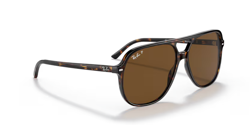 Ray-Ban 0RB2198