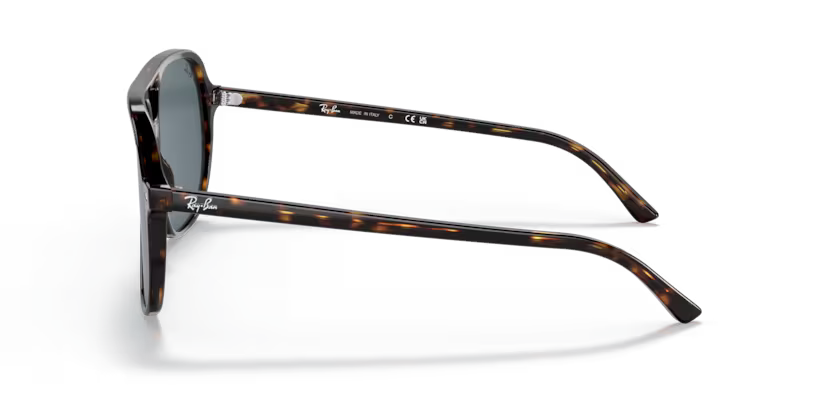 Ray-Ban 0RB2198