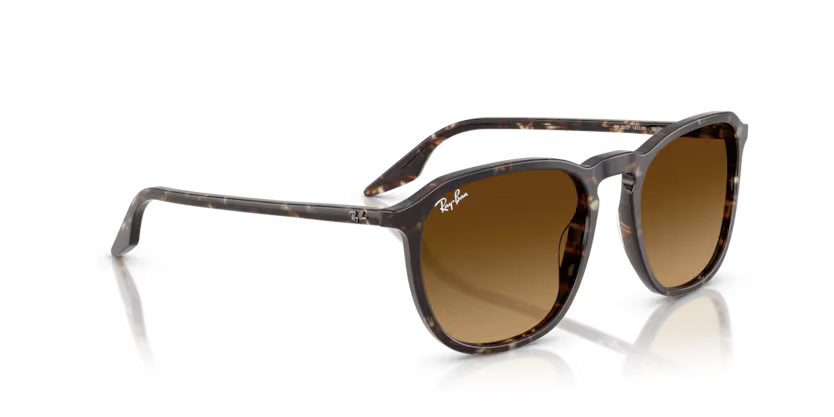 Ray-Ban 0RB2203