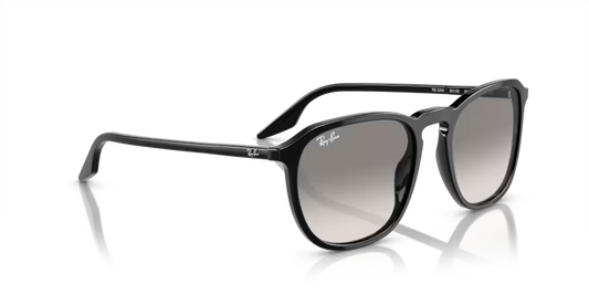 Ray-Ban 0RB2203