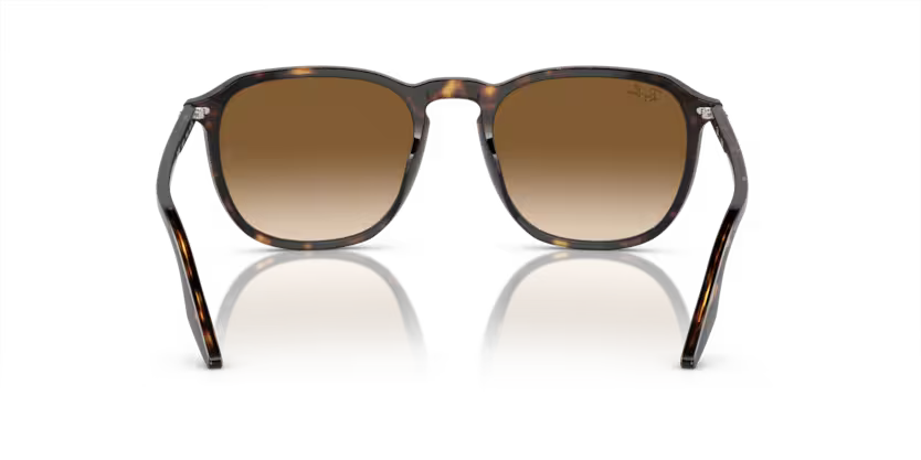 Ray-Ban 0RB2203