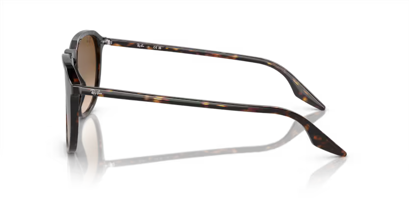 Ray-Ban 0RB2203