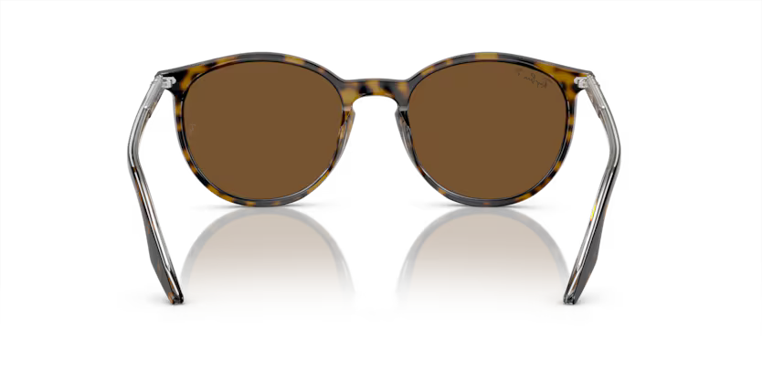 Ray-Ban 0RB2204