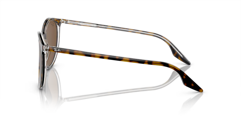 Ray-Ban 0RB2204