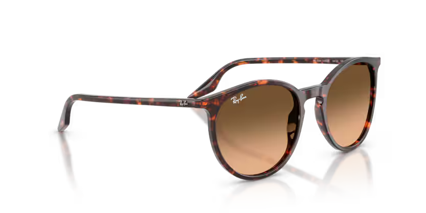 Ray-Ban 0RB2204