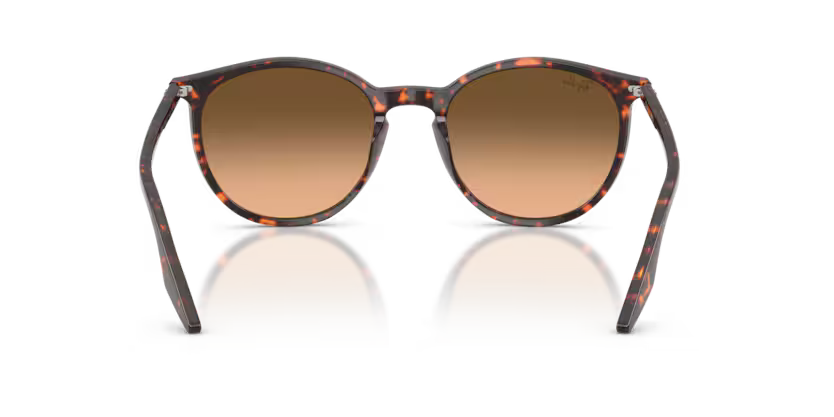 Ray-Ban 0RB2204