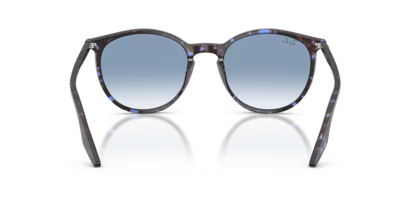 Ray-Ban 0RB2204
