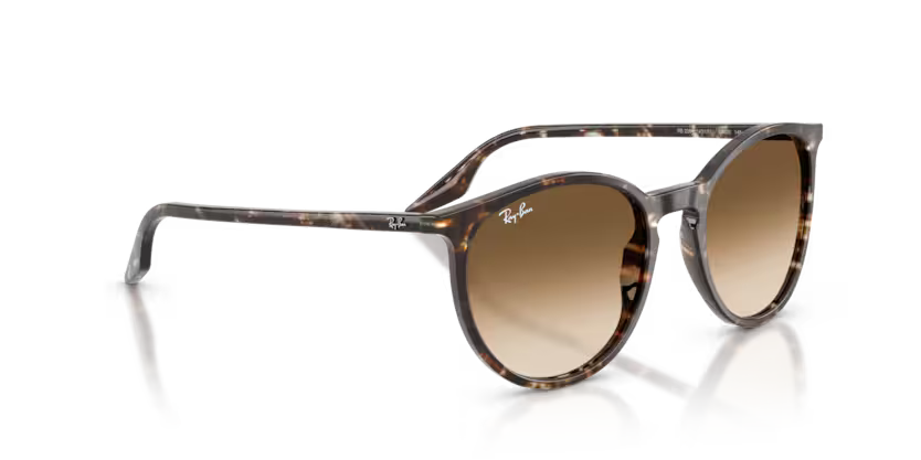 Ray-Ban 0RB2204