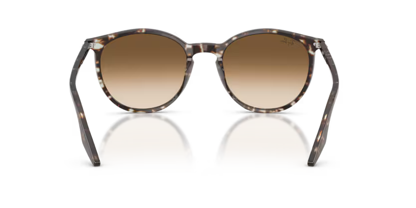 Ray-Ban 0RB2204