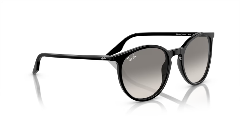 Ray-Ban 0RB2204