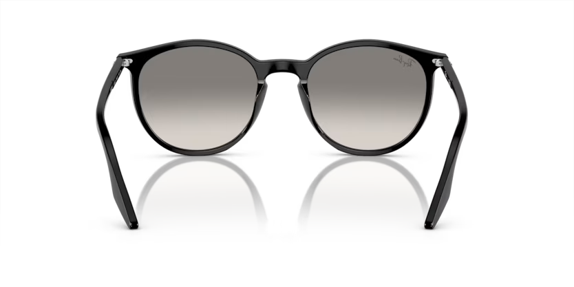 Ray-Ban 0RB2204